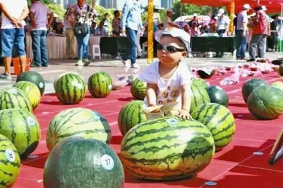 吃瓜大赛 吃瓜网站